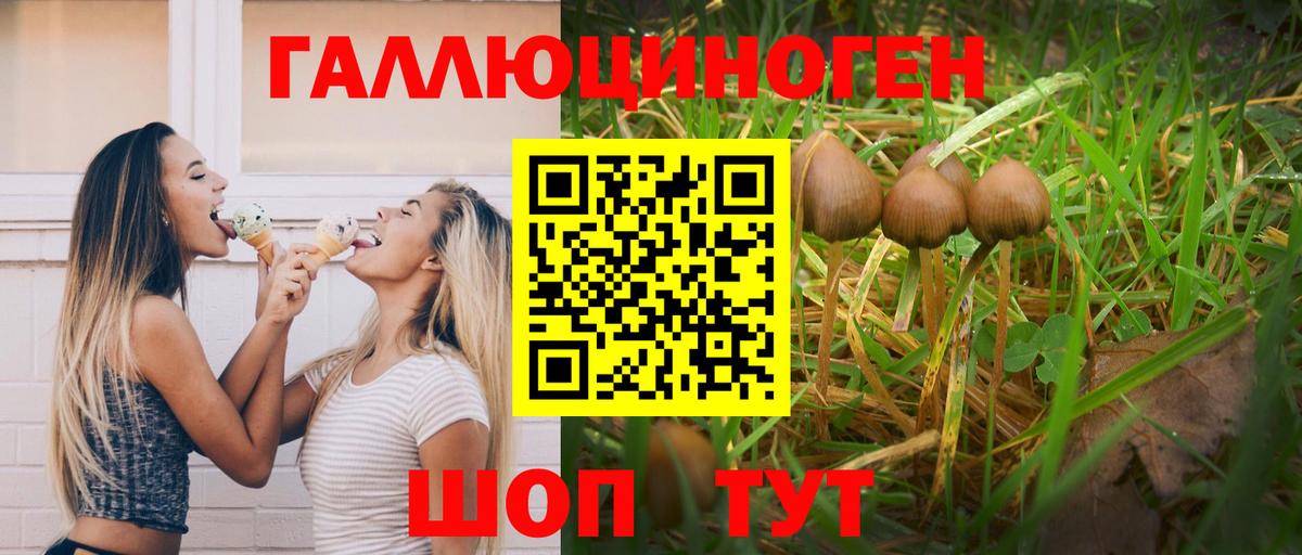 Пенза  Галлюциногенные грибы Psilocybine cubensis  как найти закладки  Вход с VPN 