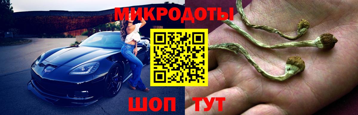 Галлюциногенные грибы Cubensis Пенза
